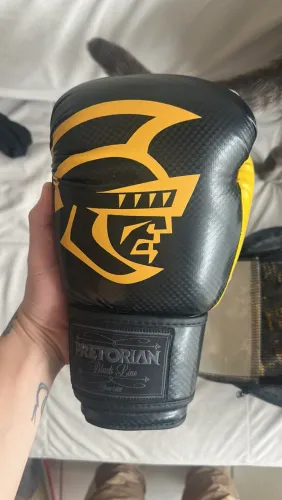 Luca de boxe Pretorian 14oz