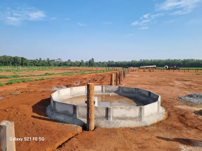 Bebedouro concreto para gado 
