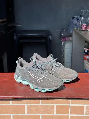 Mizuno wave prophecy 14