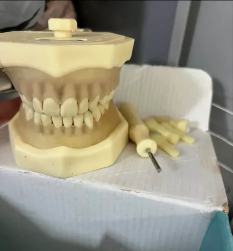 Manequim periodontia