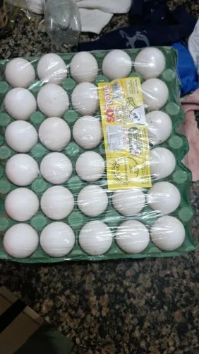 Ovos de qualidade 