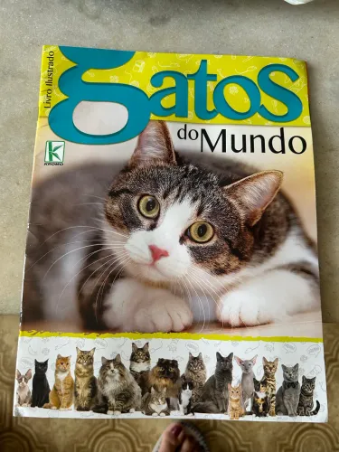 Álbum Gatos do mundo + 168 figurinhas sem repetir