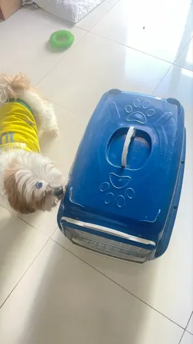 Caixa de Transporte para cães gatos n 03 cor azul