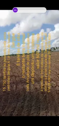 Sitio em pedrinhas Sergipe No povoado bela vista á 300 metros da rodovia 
