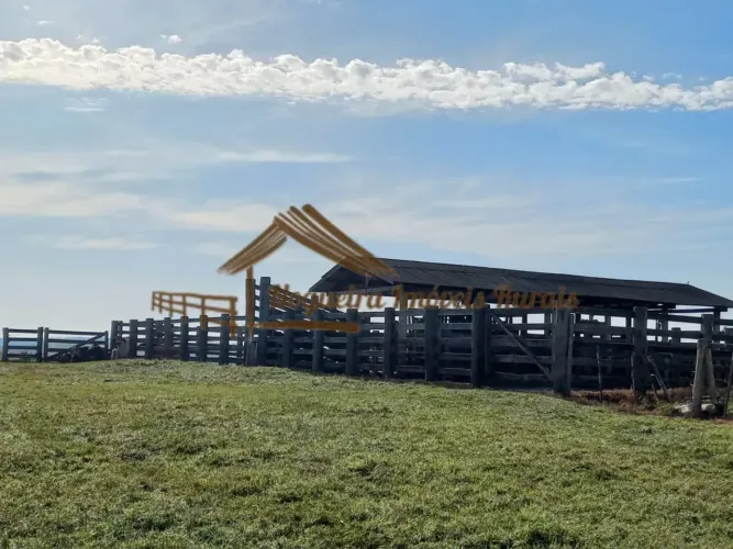 Fazenda com 187 alqueires na região de Bauru-SP