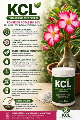 KCL adubo 00 00 56