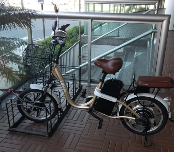 Bike elétrica Lev - ARO 18