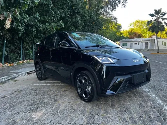 BYD Dolphin Mini (Elétrico) 2027