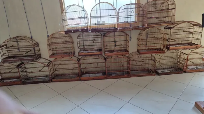 Lote de gaiolas vários modelos
