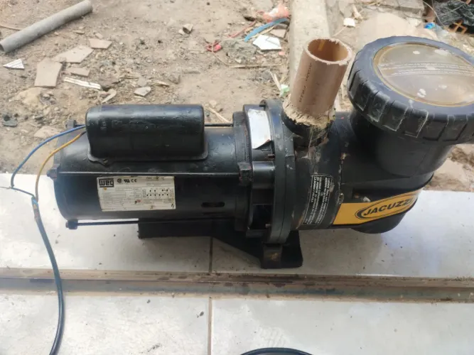 Bomba de piscina Jacuzzi Weg 127/220