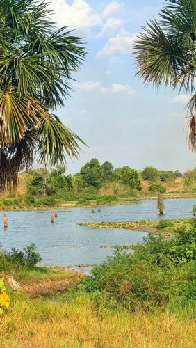 Lote de Chácara à Venda - Região do Água Boa - 18km
