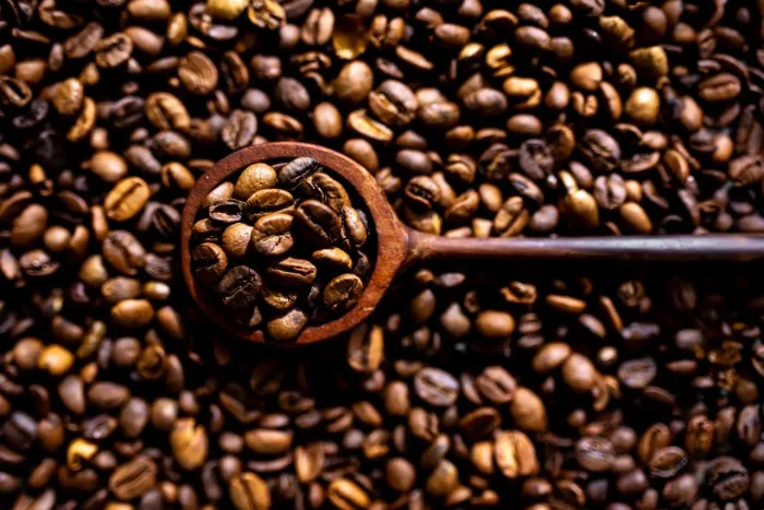Café em grãos