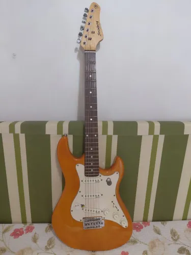 Guitarra strinberg 