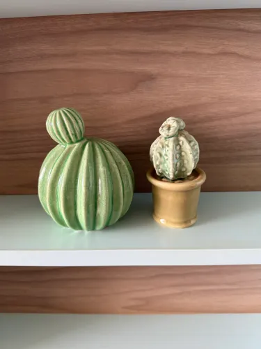 Cactus de porcelana para decoração 