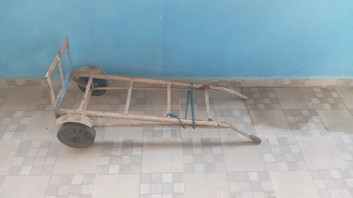 Carrinho de carga médio 