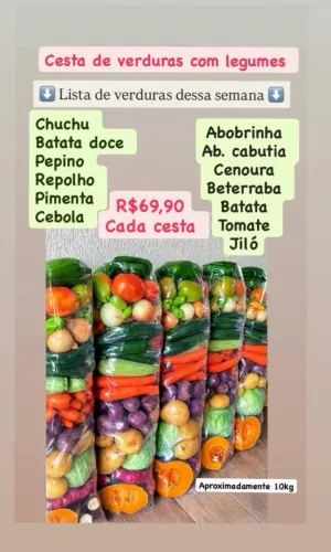 cesta de verduras direto do ceasa 