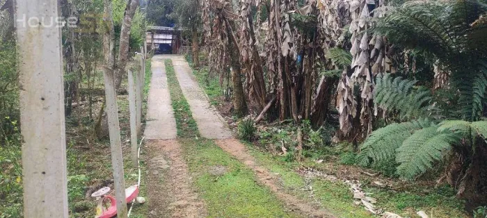 Chácara à venda, 4731 m² por R$ 480.000,00 - Borda Do Campo - São José dos Pinhais/PR