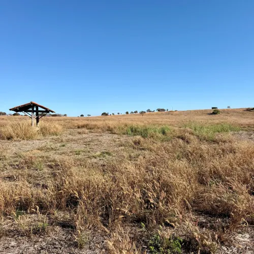Terra 10 Alqueires toda na Soja. A 35 km de Goiânia-GO