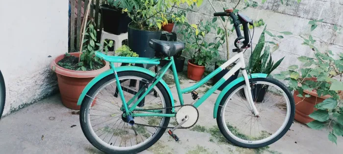 Bicicleta Praiana Aro 26