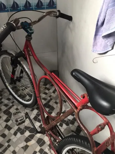 Bicicleta Monak quadro luvado