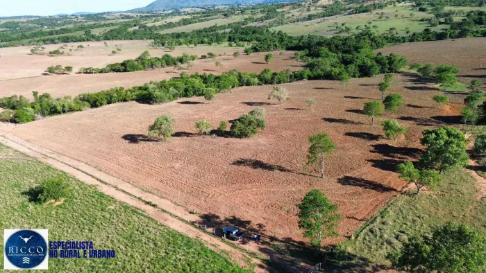 Fazenda à Venda em Sanclerlândia GO  22 Alqueires | 100% Plana