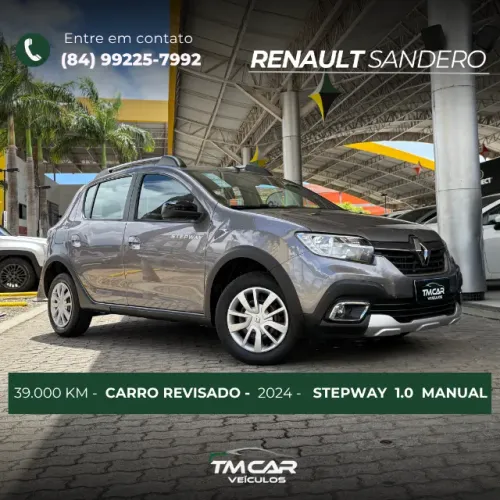 Renault Stepway Zen Flex 1.0 12V Mec. 2024