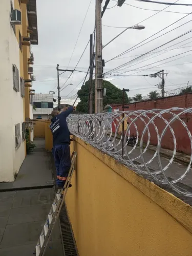 Concertina e cerca elétrica