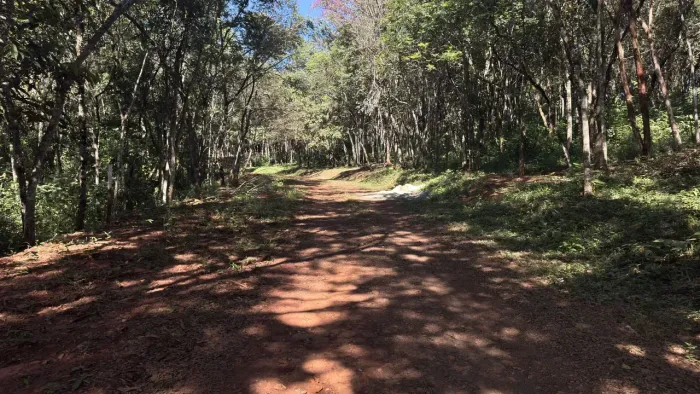 Lotes em Brumadinho de 1.000 metros no Quintas da Boa Vista!