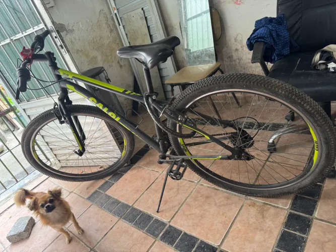 Bicicleta Caloi aro 29