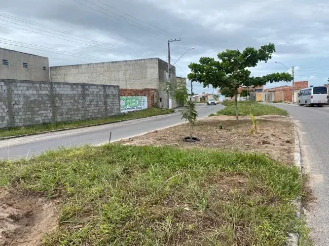 Terreno na Av no albano Franco
