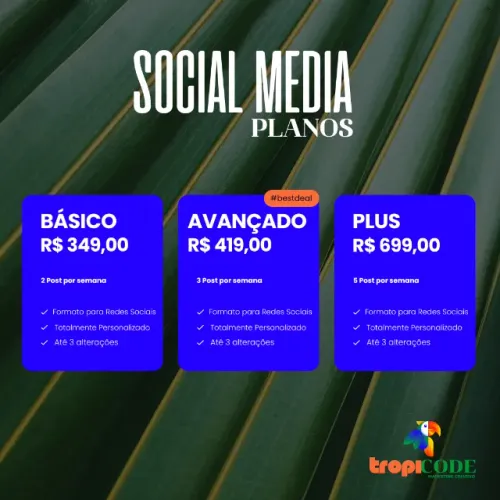 Gerenciamento de Redes Sociais com TropiCode!