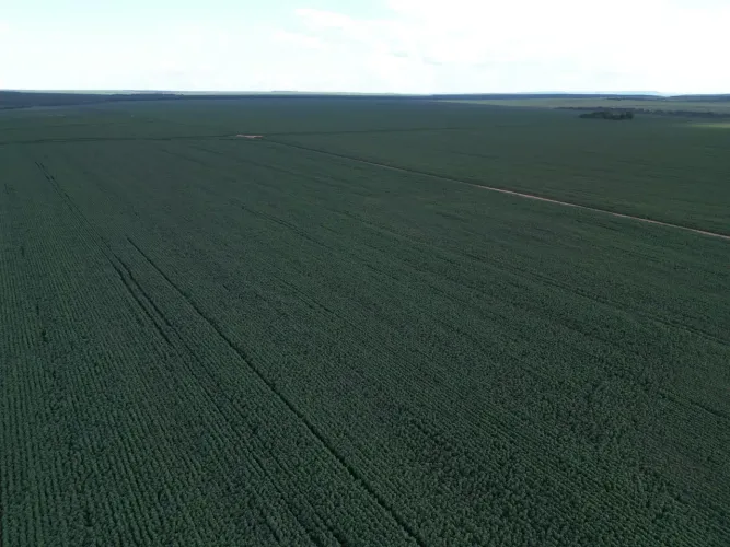 Fazenda 10 mil hect plantado, Querência MT. Valor 1.100 sacas soja útil plant. em 5 anos