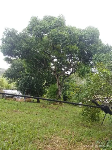 Sítio no Município de Lauro de Freitas