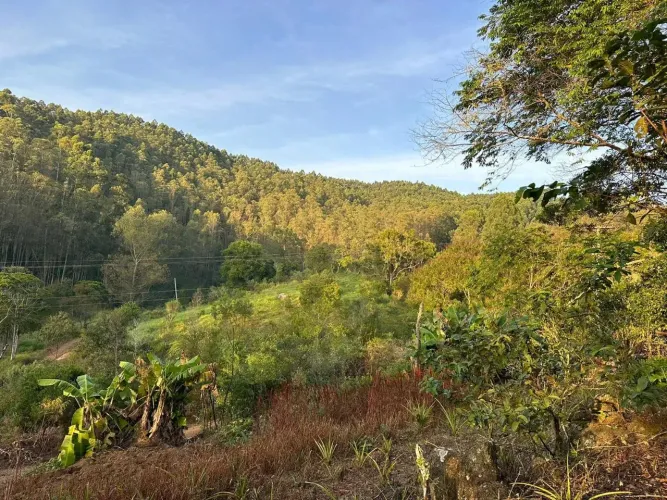 Terreno amplo com 2.800 m² a 200 metros da Cachoeira de São Miguel - São Miguel, Gravatal,
