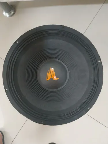 Subwoofer 15 polegadas profissional