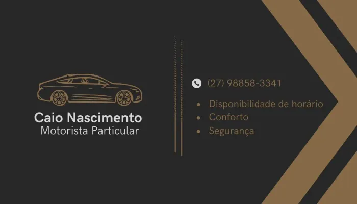 Motorista particular