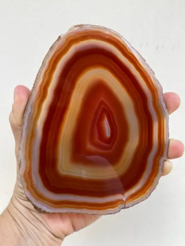 Chapa de Ágata Cornalina 