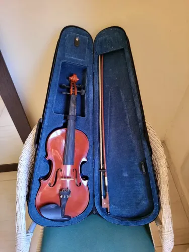 Vendo violino