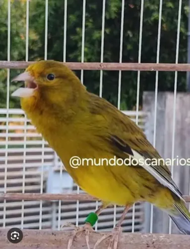 Tenho disponível 