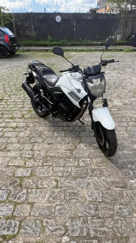 Moto Fazer 250 Blueflex