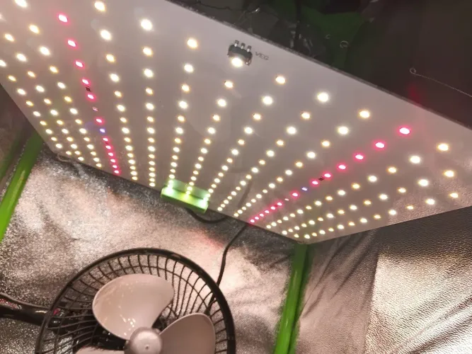LED FULL SPECTRUM C DIMEER PARA CULTIVO INDOOR