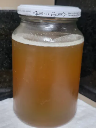 Mel Puro de Abelha Mandaçaia - Abelha Nativa Sem Ferrão - 500 ml