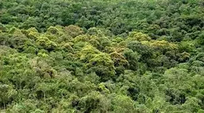 Venda Área Reposição Reserva Legal- Bioma Mata Atlantica-virgem