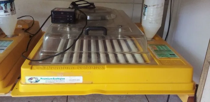 Chocadeira Premium ecológico de 70  ovos  usada 