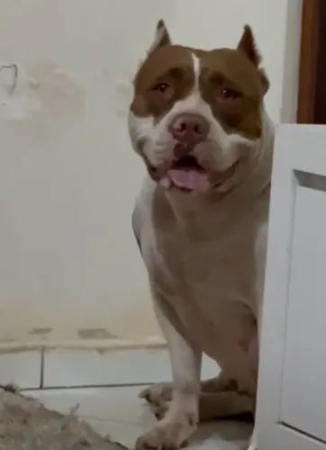 Pit monster