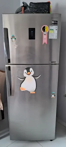 Samsung Frost Free Duplex Digital Inverter