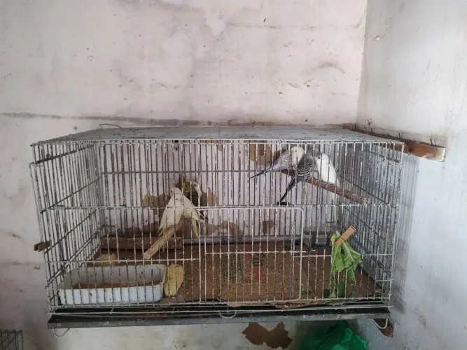 Vende-se