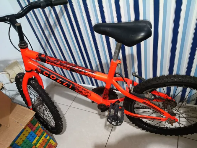 Bicicleta da Collie