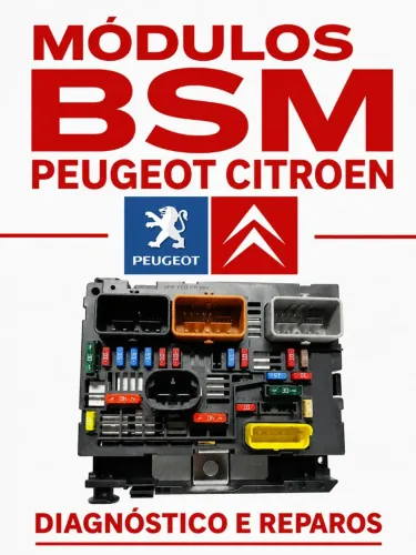 Módulo B.S.M Peugeot Citroen diagnóstico reparos R 01. R 02. L 11. R 06 limpador parabrisa