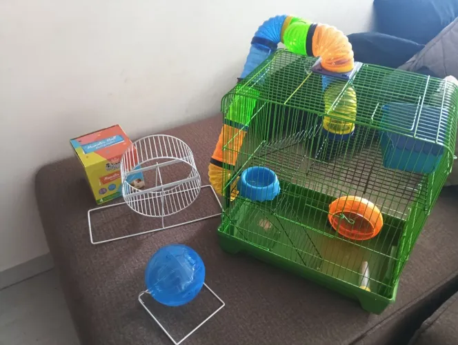 Gaiola para ramister